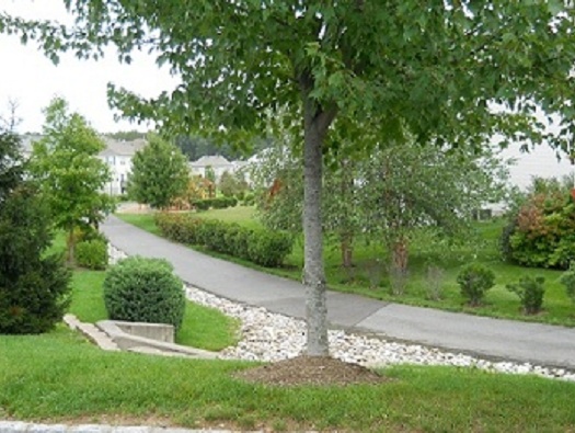 Bike Trail